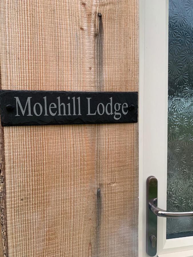 Molehill Lodge Swansea Exteriör bild