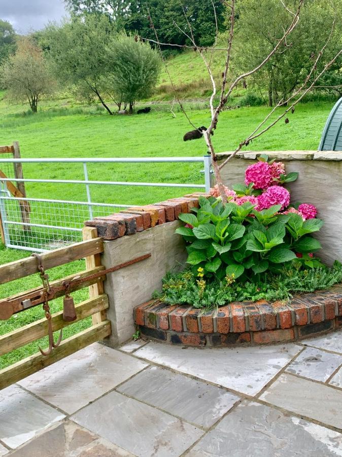 Molehill Lodge Swansea Exteriör bild