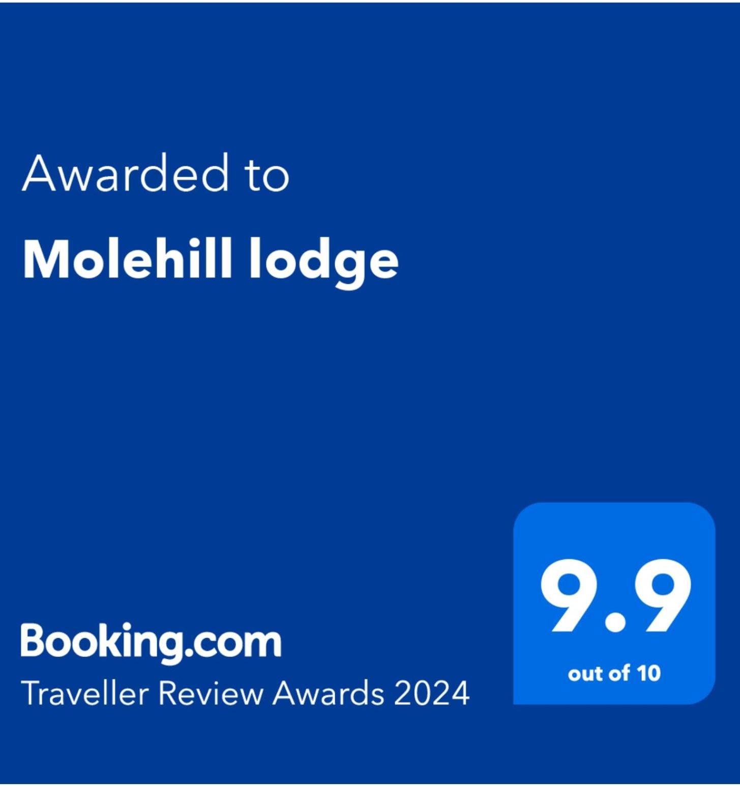 Molehill Lodge Swansea Exteriör bild