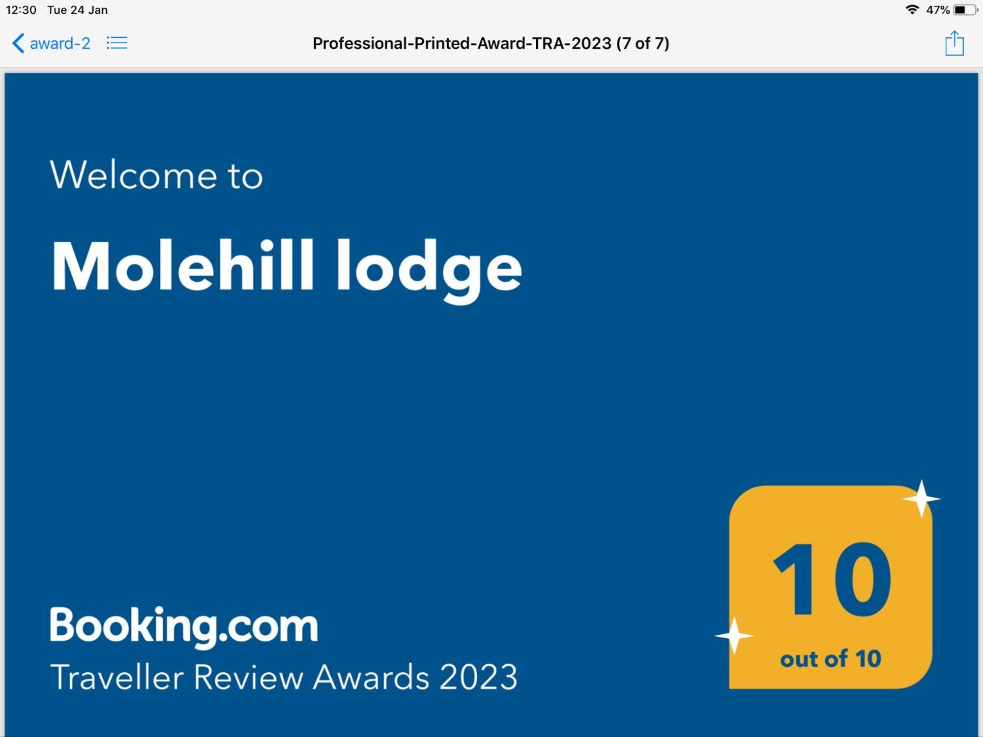 Molehill Lodge Swansea Exteriör bild